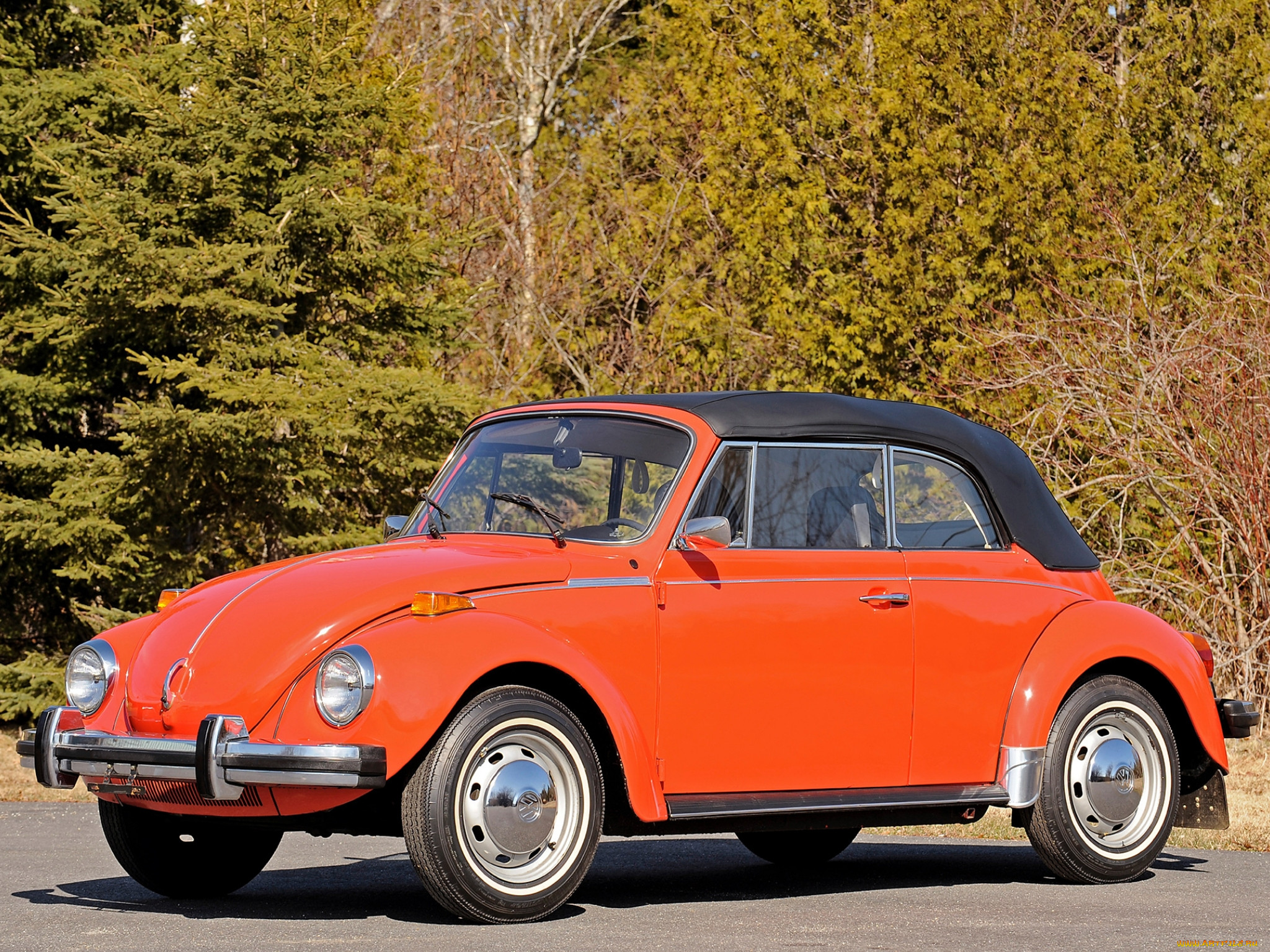, volkswagen, 
